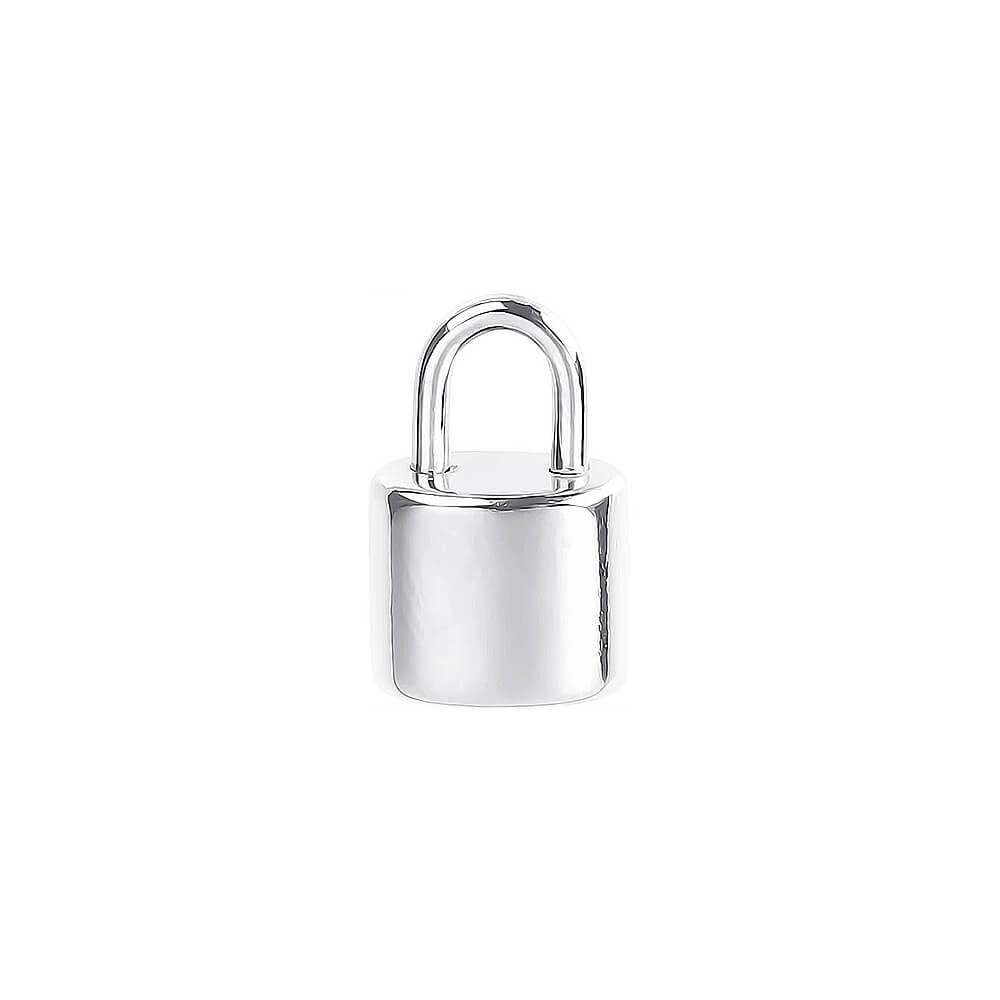 Tiny Lock Stainless Steel Carabiner Charm