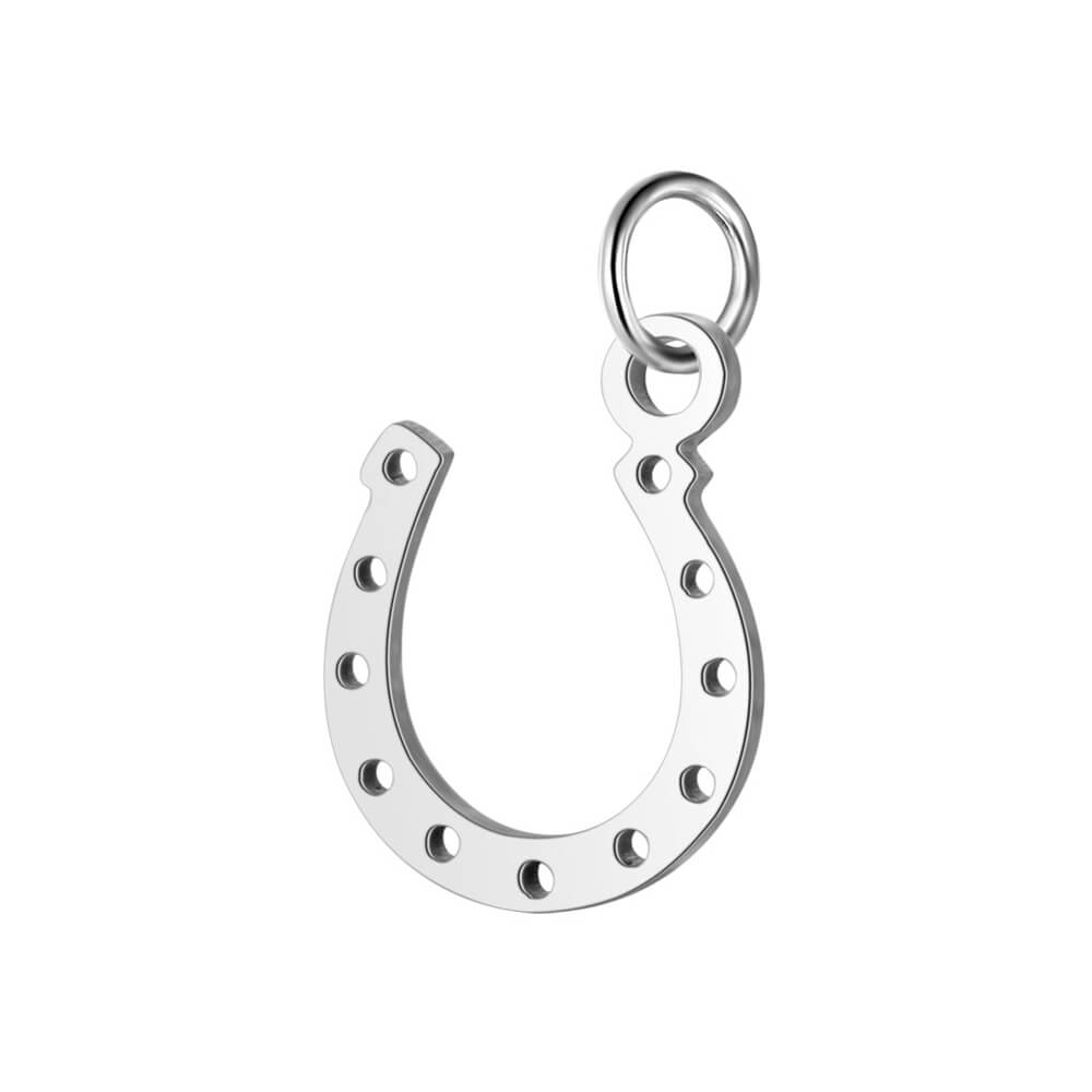 Horse Shoe Stainless Steel Carabiner Charm