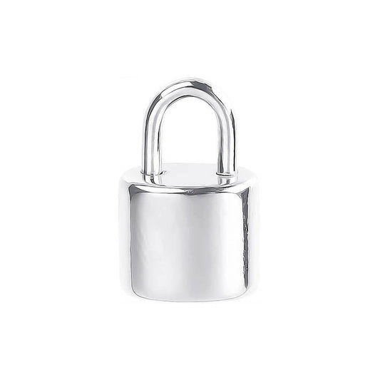 Mini Lock Stainless Steel Carabiner Charm